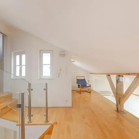 Apartment Loft Maiselova