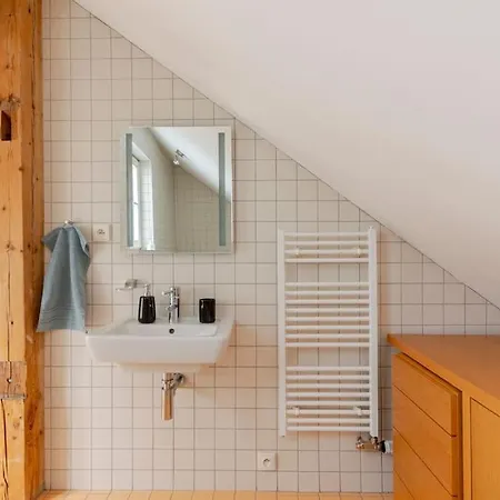 Apartment Loft Maiselova