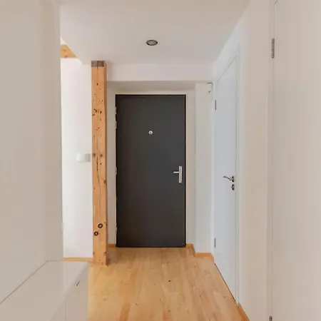 Apartment Loft Maiselova