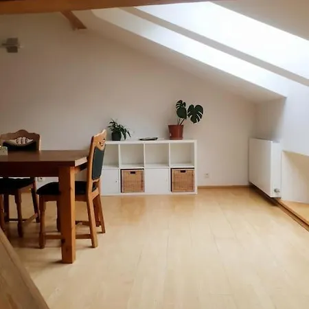 Loft Maiselova Apartment *