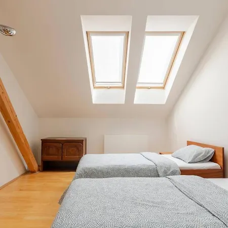 Loft Maiselova *