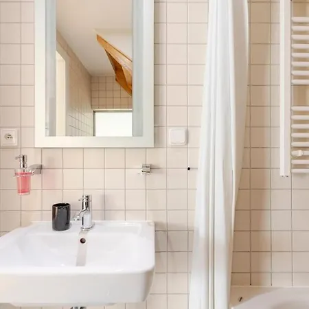 Apartment Loft Maiselova