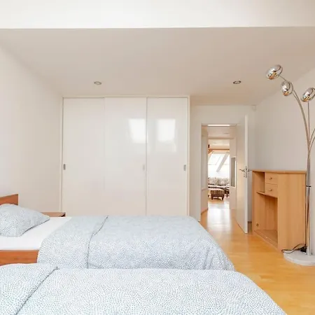 Apartment Loft Maiselova