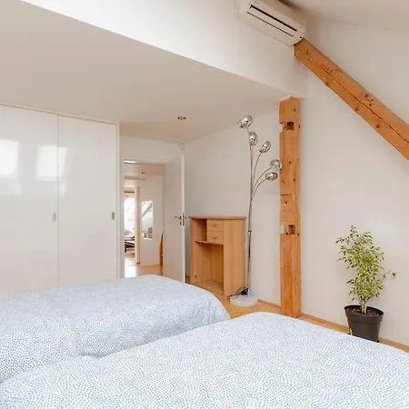 Apartment Loft Maiselova *